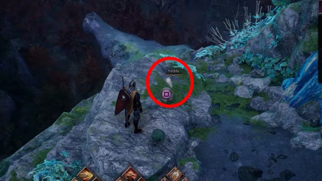 Yeddy spotted