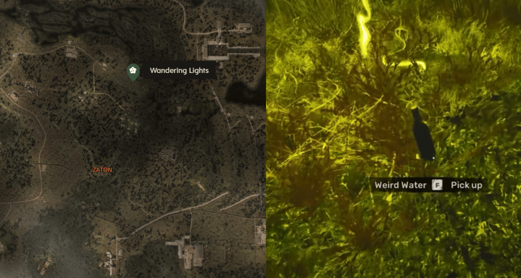 STALKER 2 wandering lights and weird water
