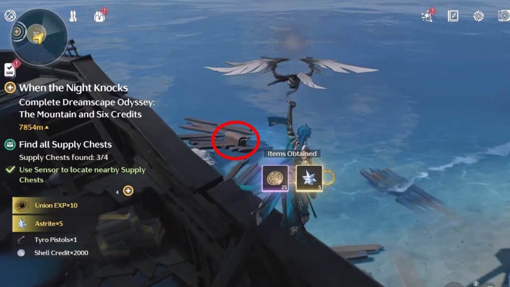 Chest 4