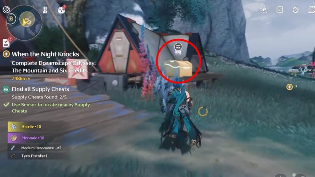 Chest 3
