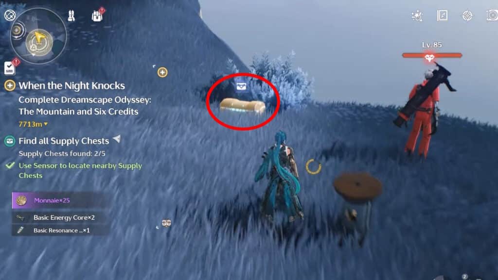 Chest 4