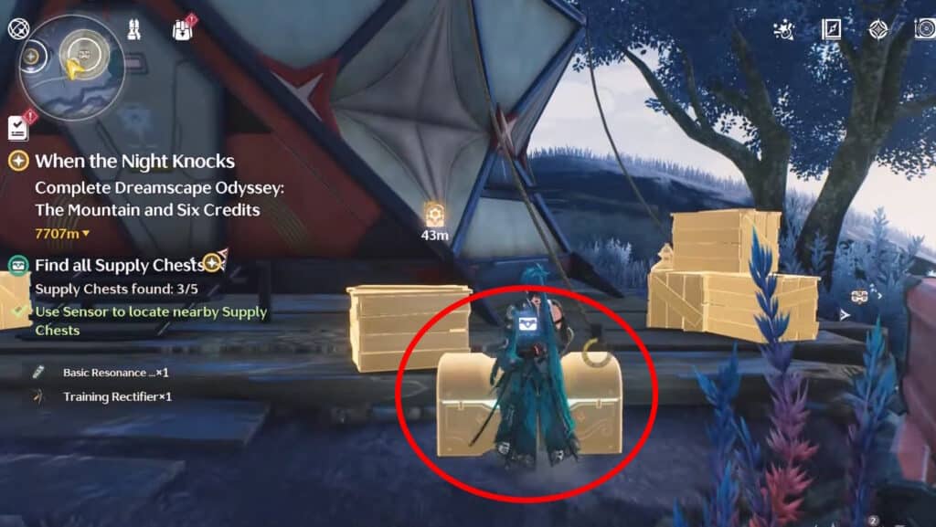Chest 5