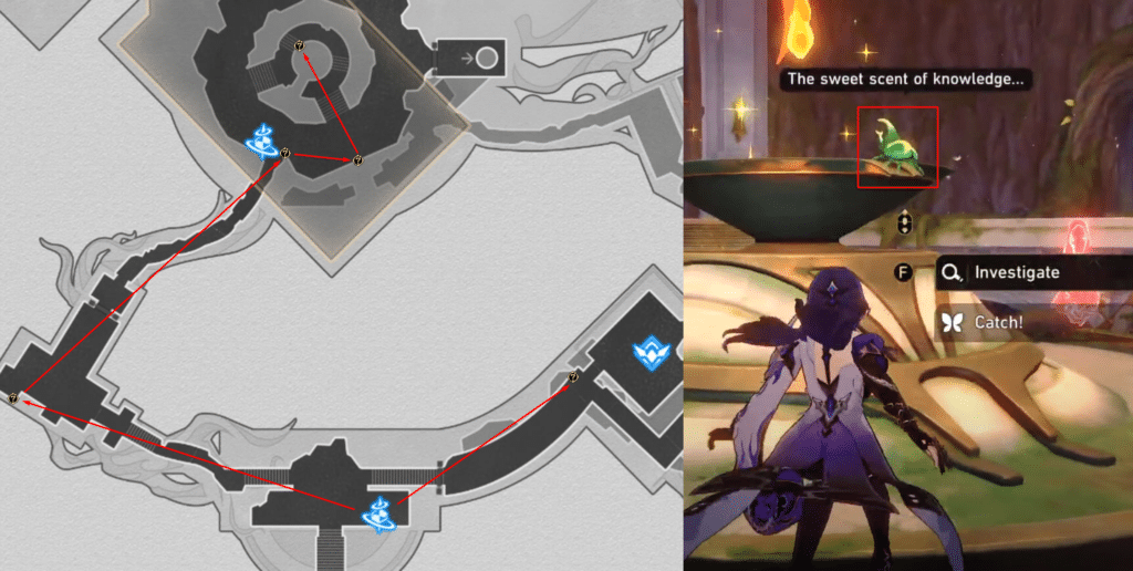 Honkai Star Rail F1 locations (north)