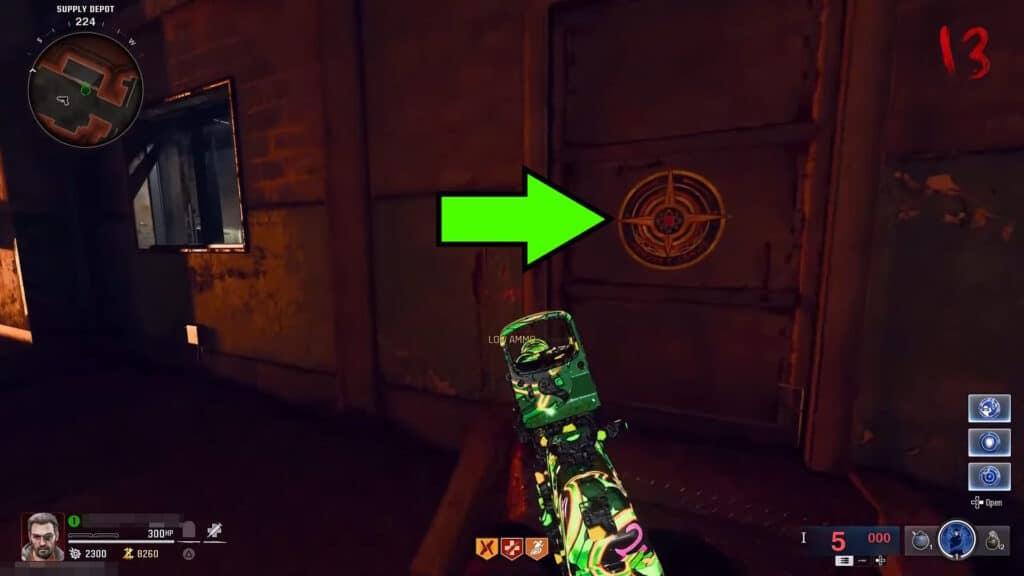 Project Janus door