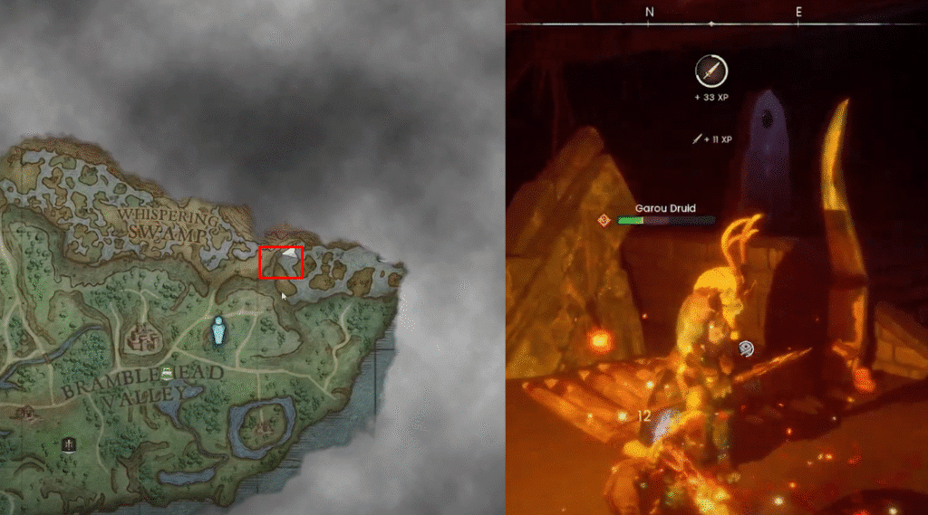 runescape dragonwilds map with garou druid location