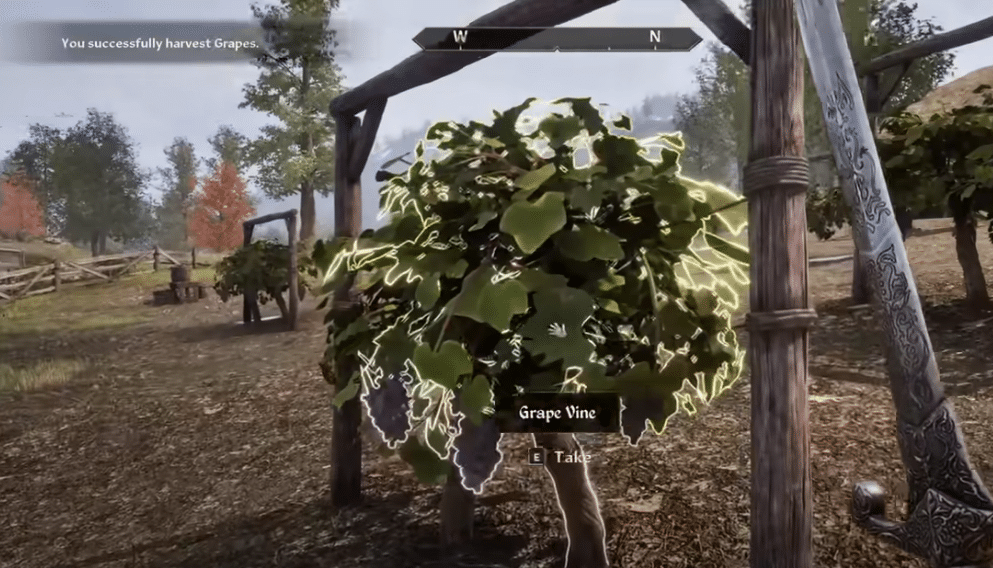 TES 4 oblivion remastered player picking grapes