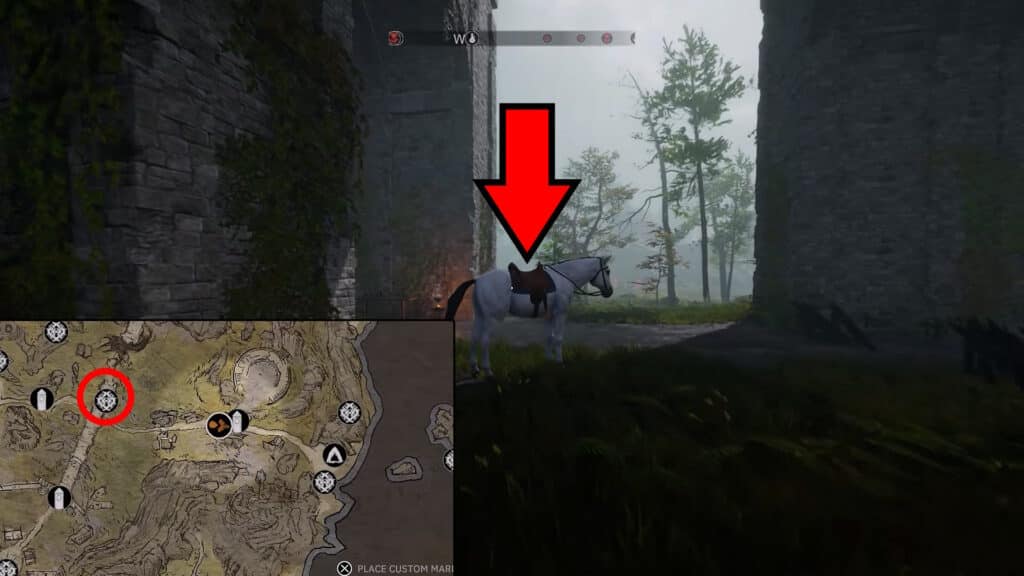 Swierkon the Horse