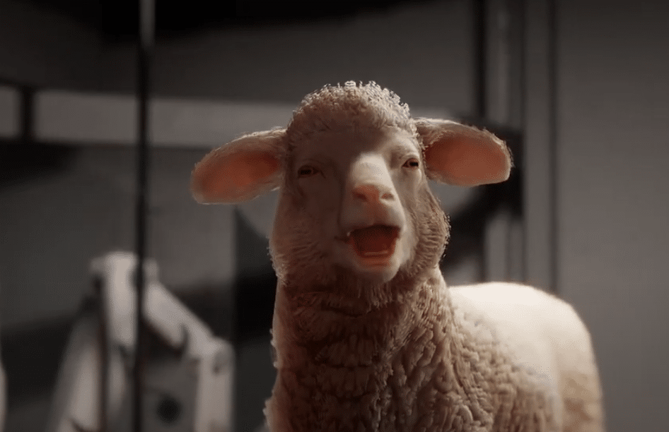 the alters sheep