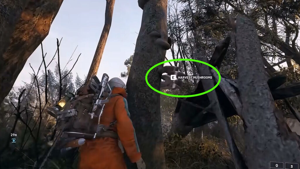 Mushrooms on a tree | ARC Raiders