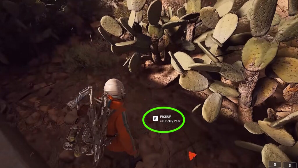 Prickly Pear on the ground | ARC Raiders