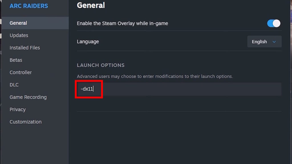 ARC Raiders Steam Launch Options example