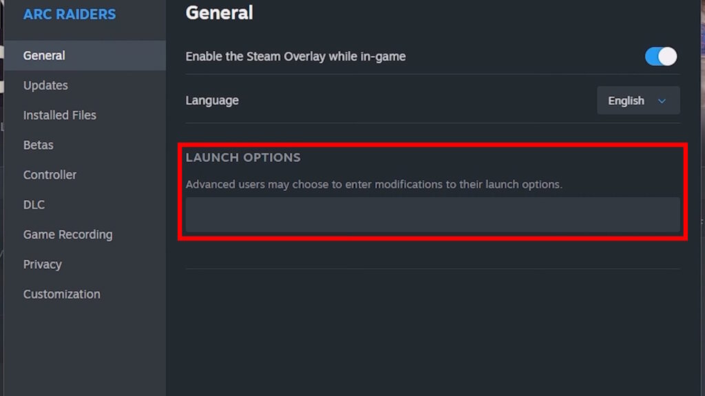 ARC Raiders Steam Launch Options