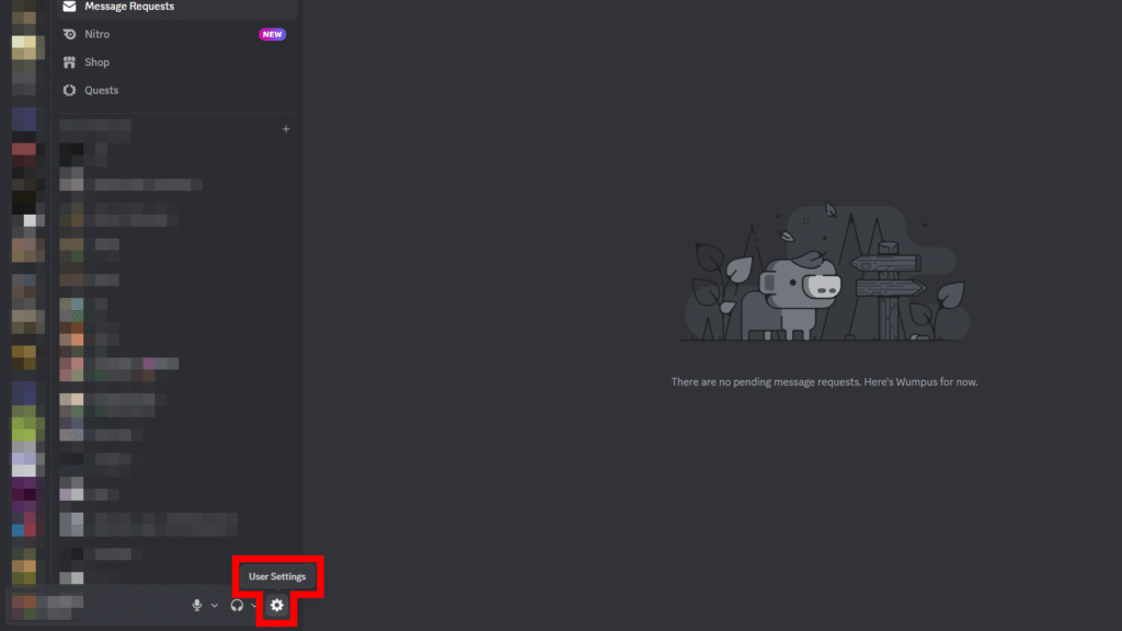 Discord User Settings
