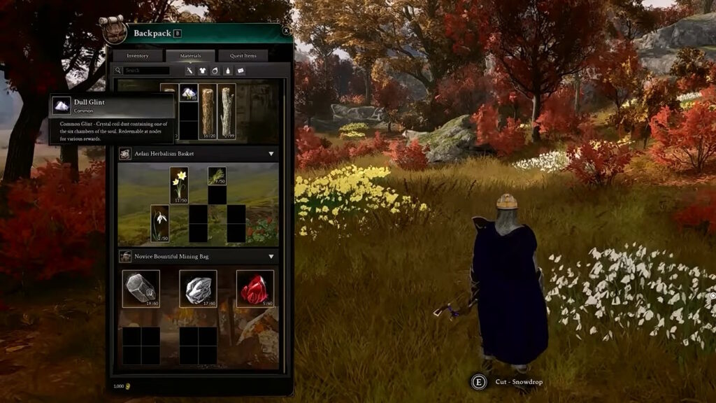 Inventory system | Ashes of Creation – Early Access