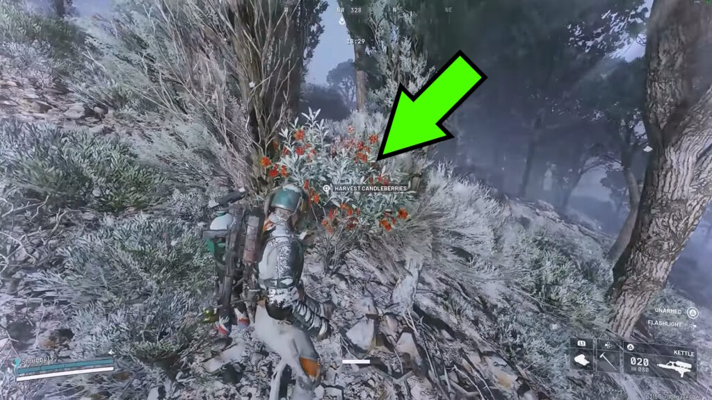 Candleberries bush | ARC Raiders