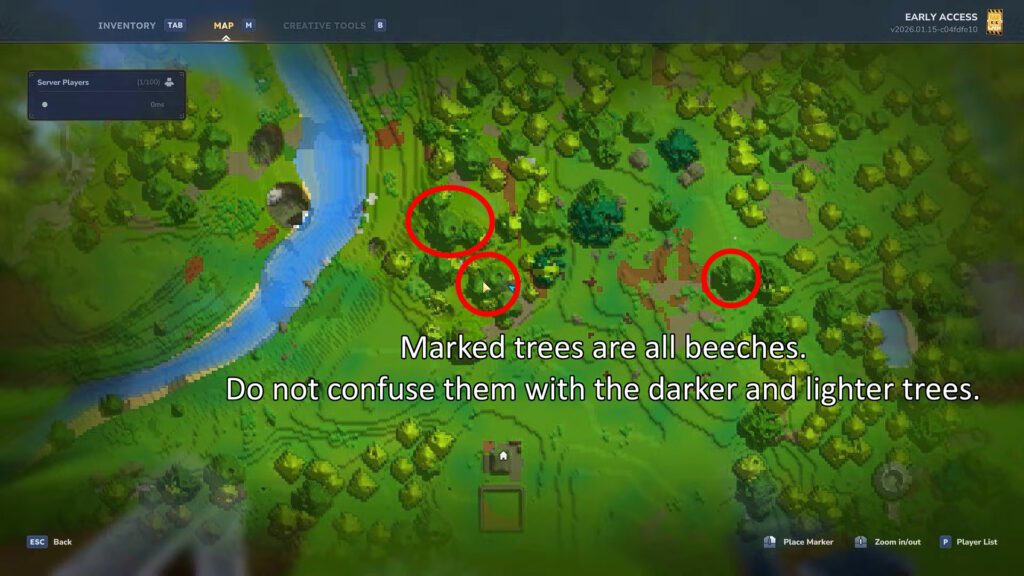 Examples of beeches on the map | Hytale