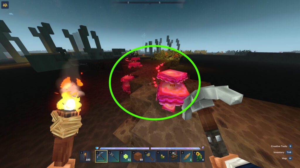 Bloodcap Mushrooms in the muddy desert biome | Hytale