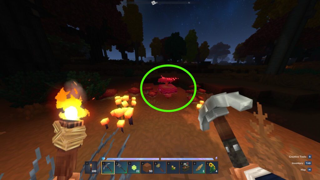 Bloodcap Mushroom in the autumn forest | Hytale