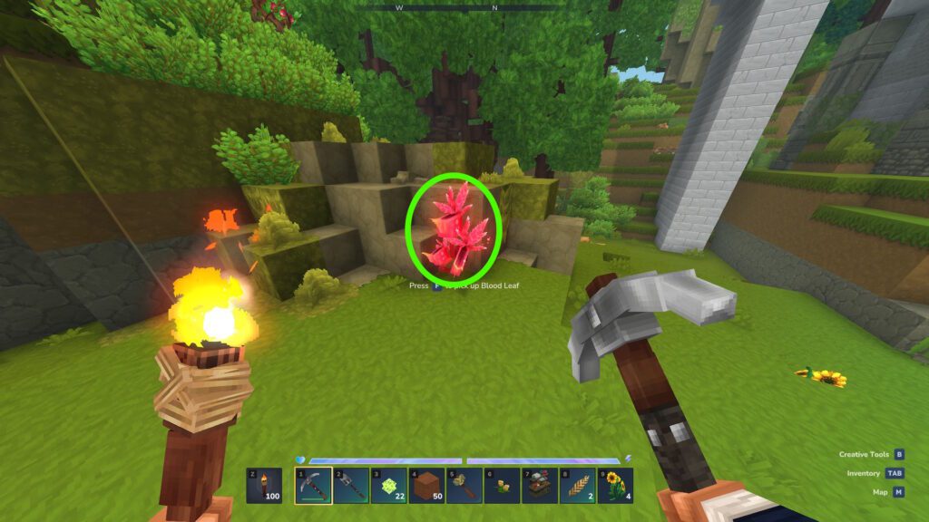 Blood Leaf near the swamp biome | Hytale