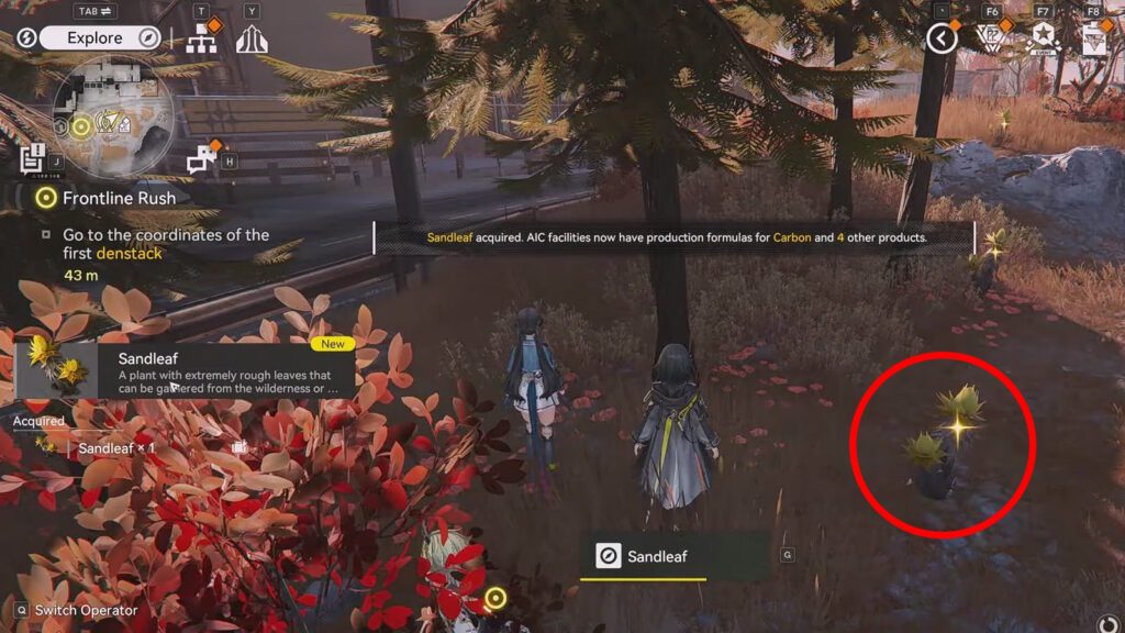 Example of a Sandleaf plant | Arknights Endfield