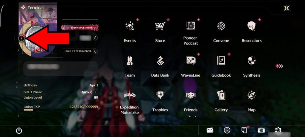 Profile detailed options button | Wuthering Waves