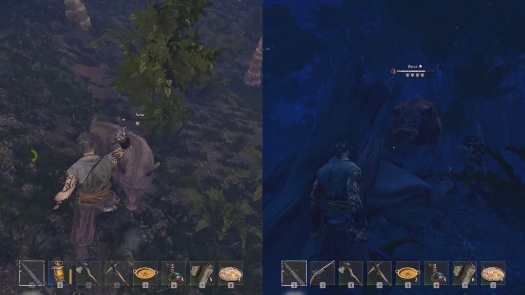 Sow and Boar example | Windrose