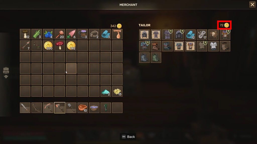 Merchant's Coins | Everwind