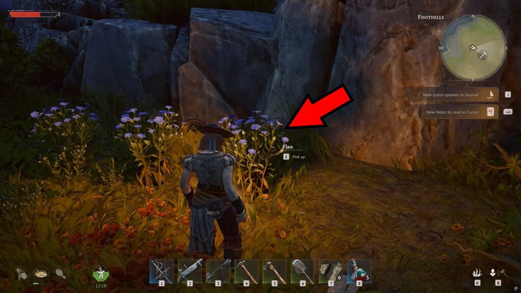 Flax plant example | Windrose