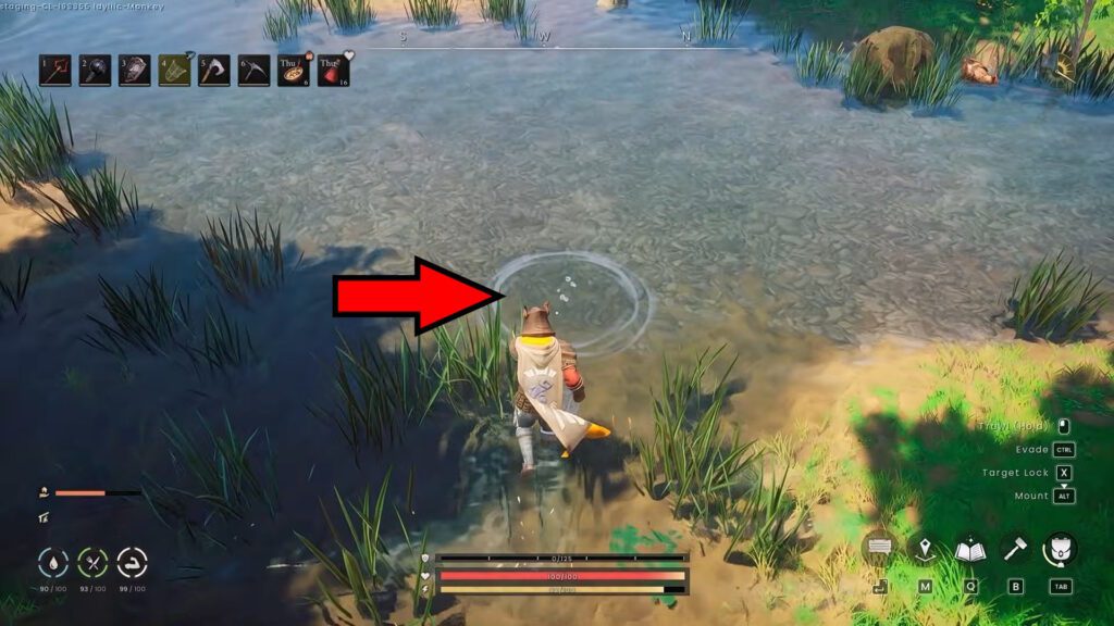 Net Fishing Spot | RuneScape: Dragonwilds