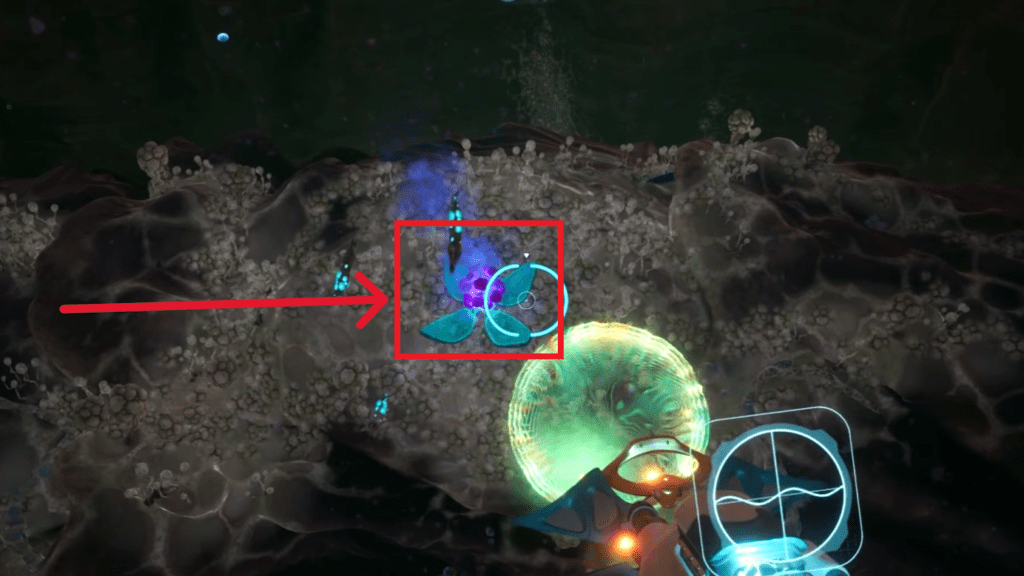 The purple flower infestation you need to take out.