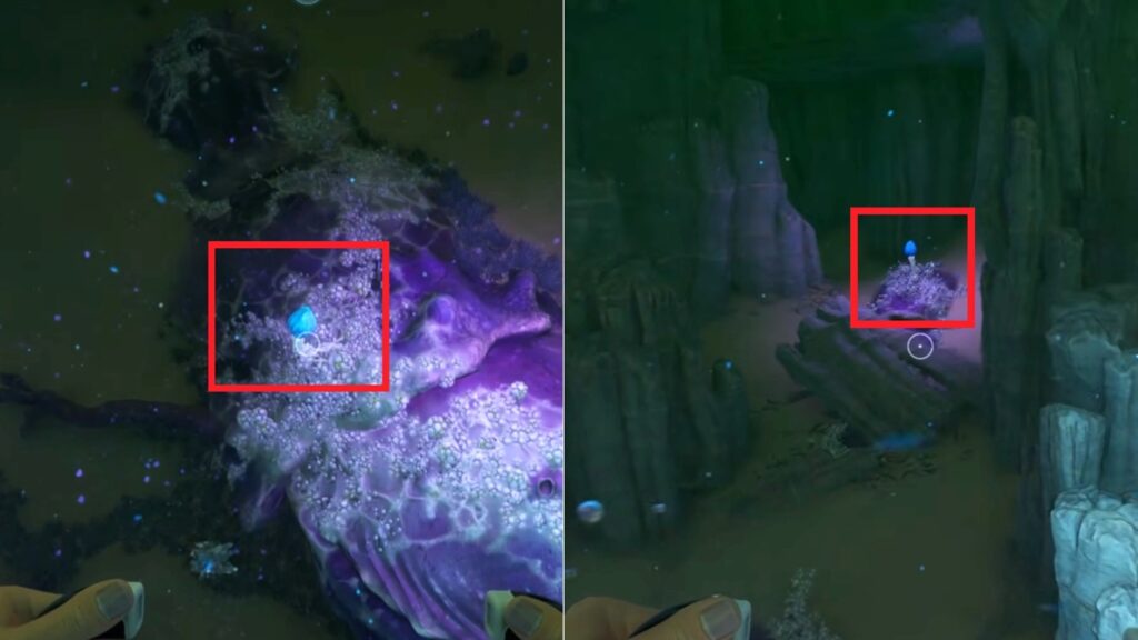 Both blue flowers are marked which you need to take out.