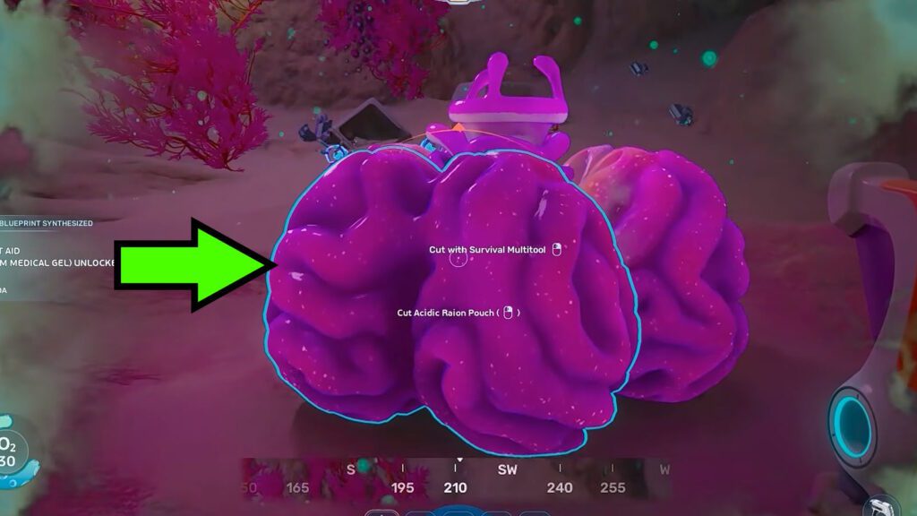 Example of Acidic Raion Pouch | Subnautica 2