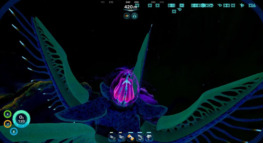 Angel Comb Reward Subnautica 2