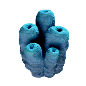 Toxic Sponge in Subnautica 2