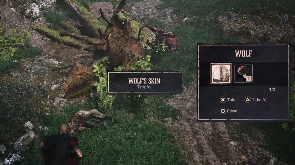 Wolf's Skin | Gothic 1 Remake